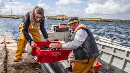 Current EU fishing regulation has it all wrong